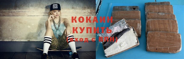 гашик Аркадак