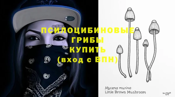 гашик Аркадак
