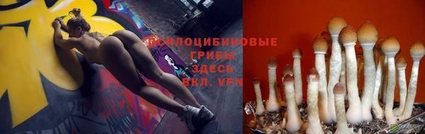mdpv Навашино