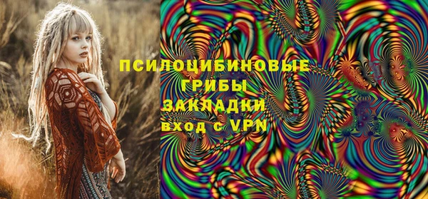 гашик Аркадак