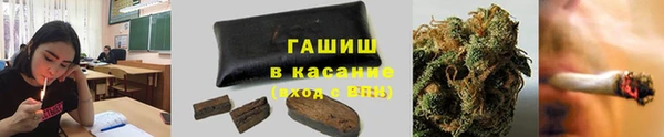 гашик Аркадак