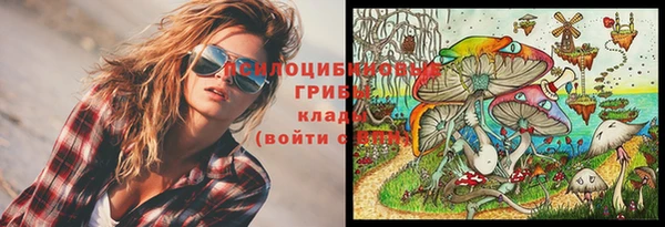 гашик Аркадак