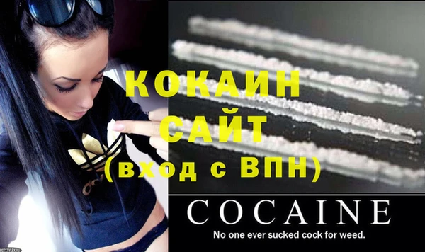 гашик Аркадак