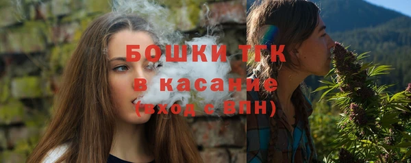 трава Арсеньев